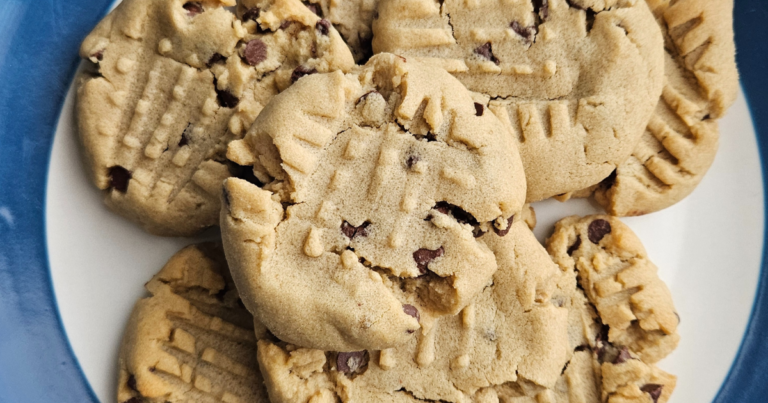 Sunbutter Chocolate Chip Cookies